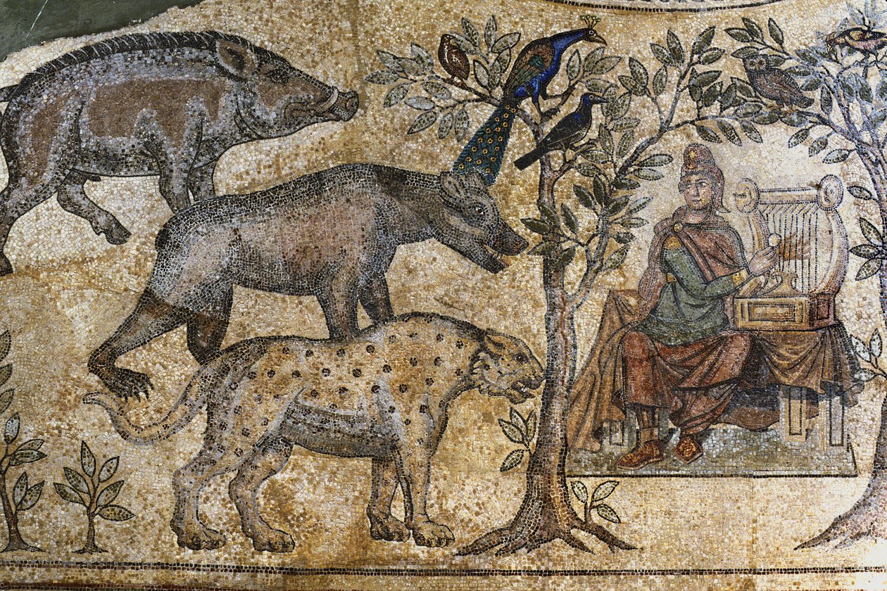 Picardie 073 - Laon - Föreningarnas hus - Roman Mosaic of Blanzy - "Orphee charm the animals" av Unbekannt