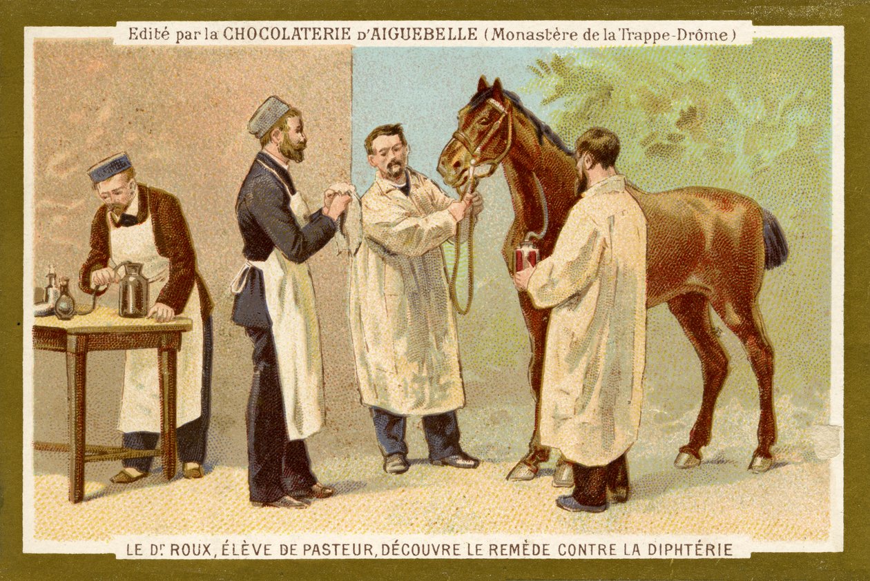 Pierre Paul Émile Roux av Unbekannter Künstler