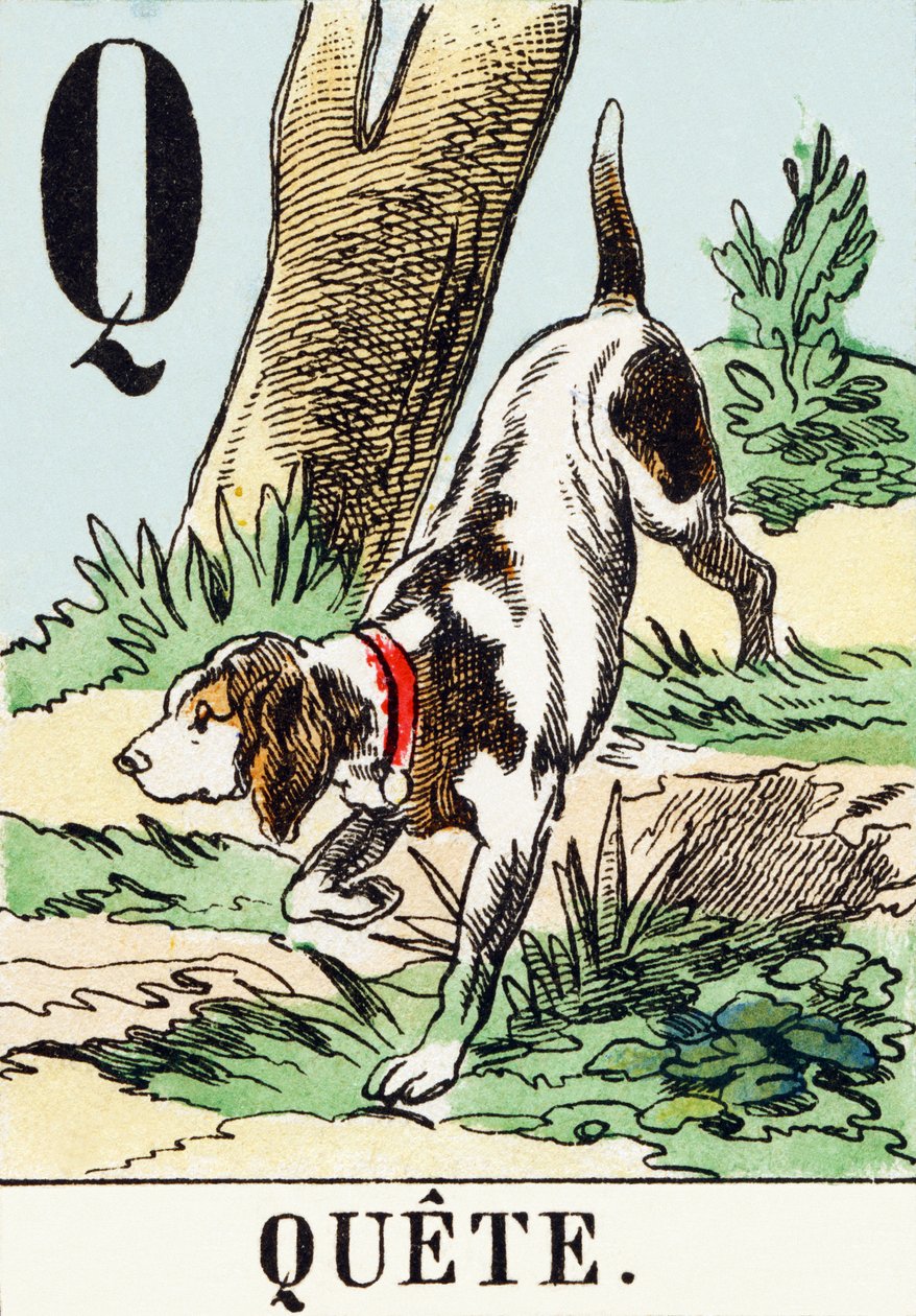 Q : Quete - AThe Hunting Alphabet, c.1890 (gravyr) av Unbekannt