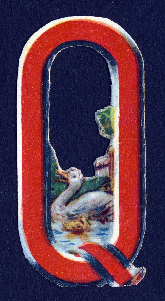 Q som Quack . Beetle decoupis på temat djur. Gravyr. Serie om 26 våffelkromolitografier av engelskt ursprung. Redaktör och illustratör okänd. Slutet av 1800-talet. Mått: 5,5x3,5cm av Unbekannt