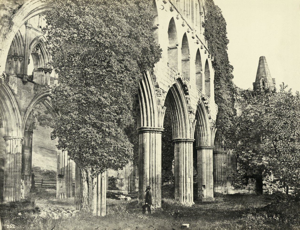 Rievaulx Abbey, North Yorkshire, Storbritannien (s/v foto) av Unbekannter Künstler