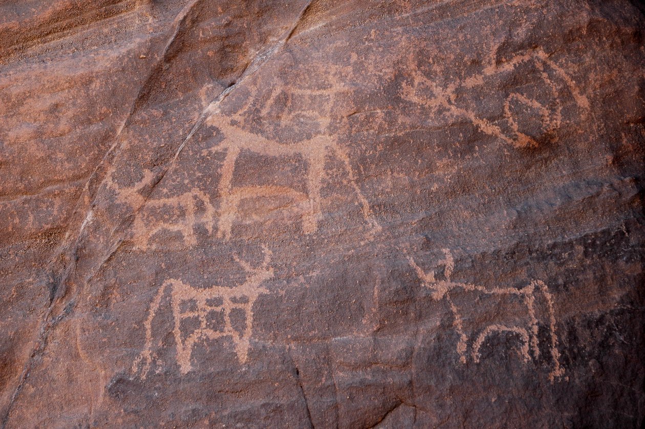 Bergkonst, Prehistoire: Gravyr av en uppsättning nötkreatur, varav en är nedre till vänster, i Uweinat-massivet, Egypten. (Period från 8000 till 3000 år f.Kr.). Fotografi av Unbekannt