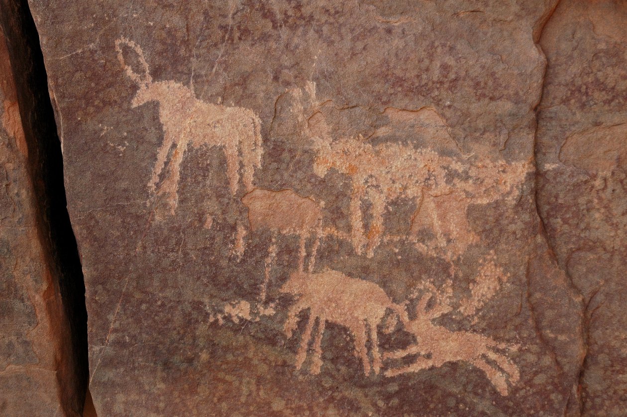 Stenkonst, förhistoria: Gravyr av en uppsättning antiloper och en hund (nedre till höger) i Uweinat-massivet, Egypten. (Period från 8000 till 3000 år f.Kr.). Fotografi av Unbekannt