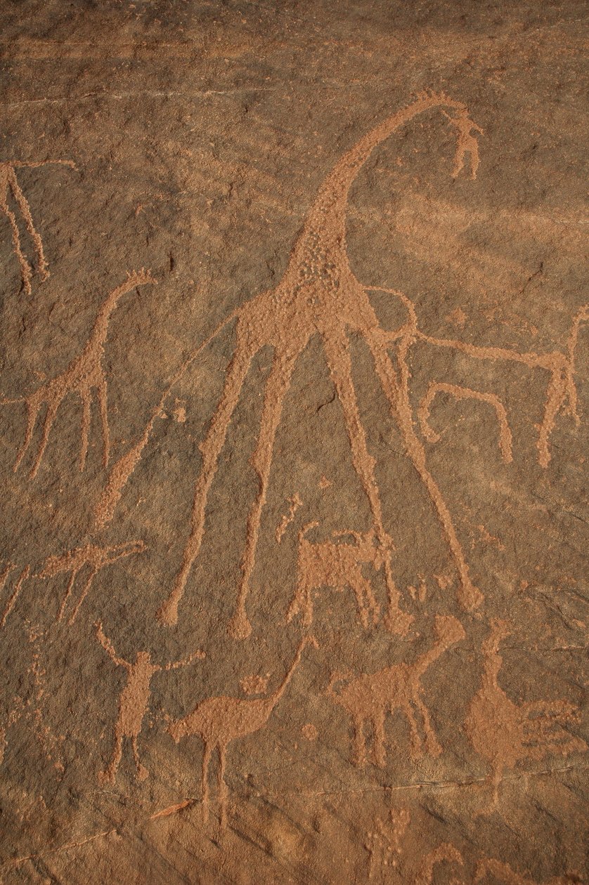 Bergkonst, Förhistoria: Gravering av giraffer, strutsar, får och karaktärer i Uweinat-massivet, Sudan (Karkur-Talh eller Karkur Talh). Period från 8000 till 3000 år f.Kr. Fotografi av Unbekannt