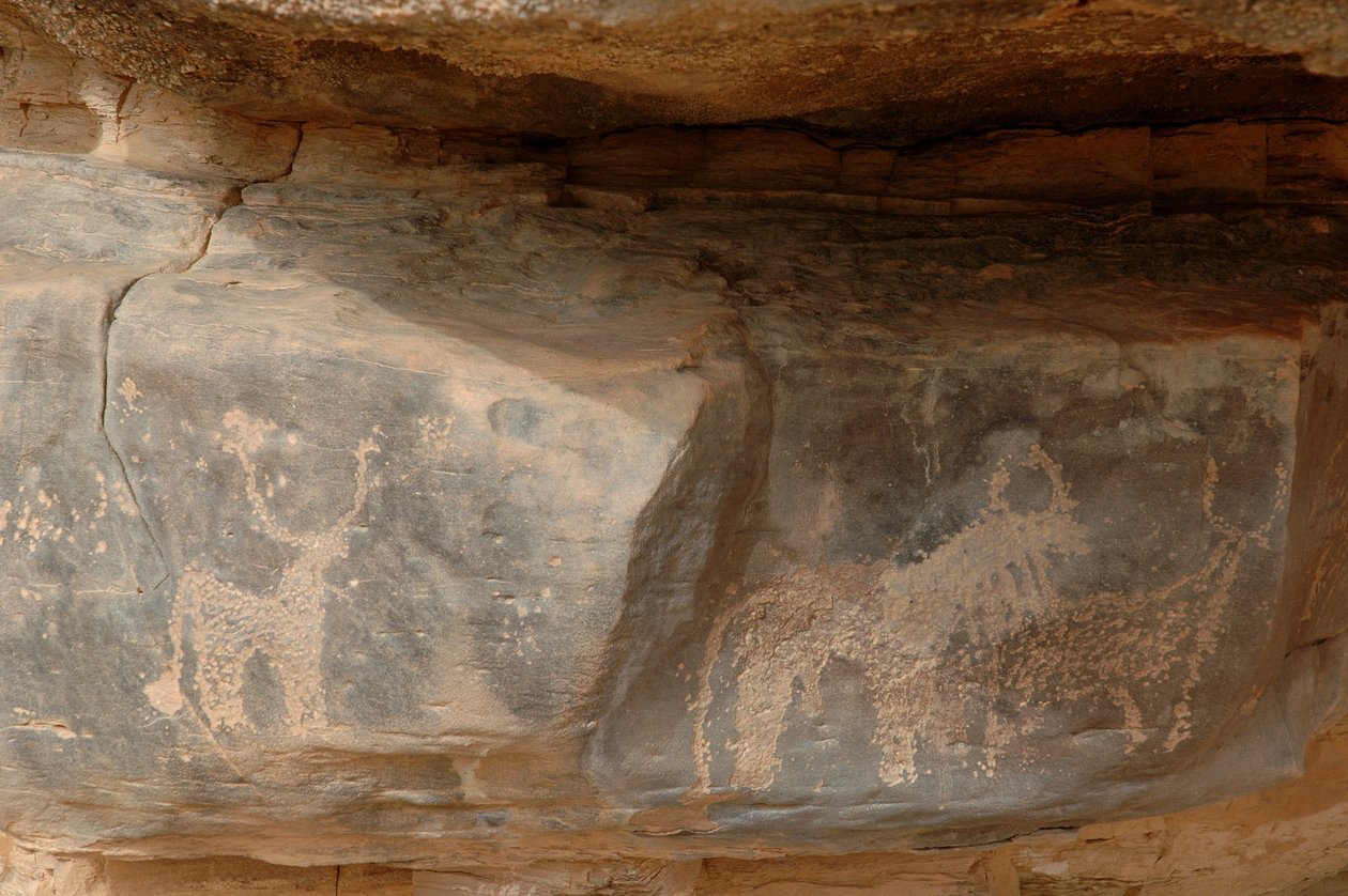 Stenkonst, förhistoria: Gravering av tre nötkreatur i Uweinat-massivet, Sudan (Karkur-Talh eller Karkur Talh). Period från 8000 till 3000 år f.Kr. Fotografi av Unbekannt