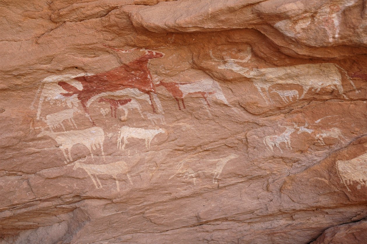 Stenkonst, förhistoria: Målning av en uppsättning nötkreatur i ett utsmyckat skydd, i Uweinat-massivet, Sudan (Karkur-Talh eller Karkur Talh). Period från 8000 till 3000 år f.Kr. Fotografi av Unbekannt