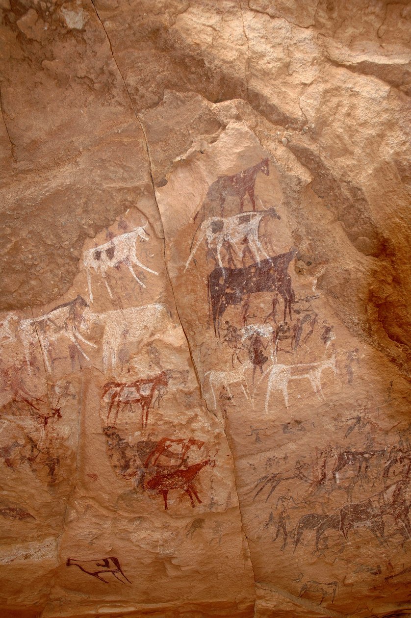 Stenkonst, förhistoria: Stenmålning av en grupp boskap och karaktärer i ett utsmyckat skydd, i Uweinat-massivet, Sudan (Karkur-Talh eller Karkur Talh). Period från 8000 till 3000 år f.Kr. Fotografi av Unbekannt