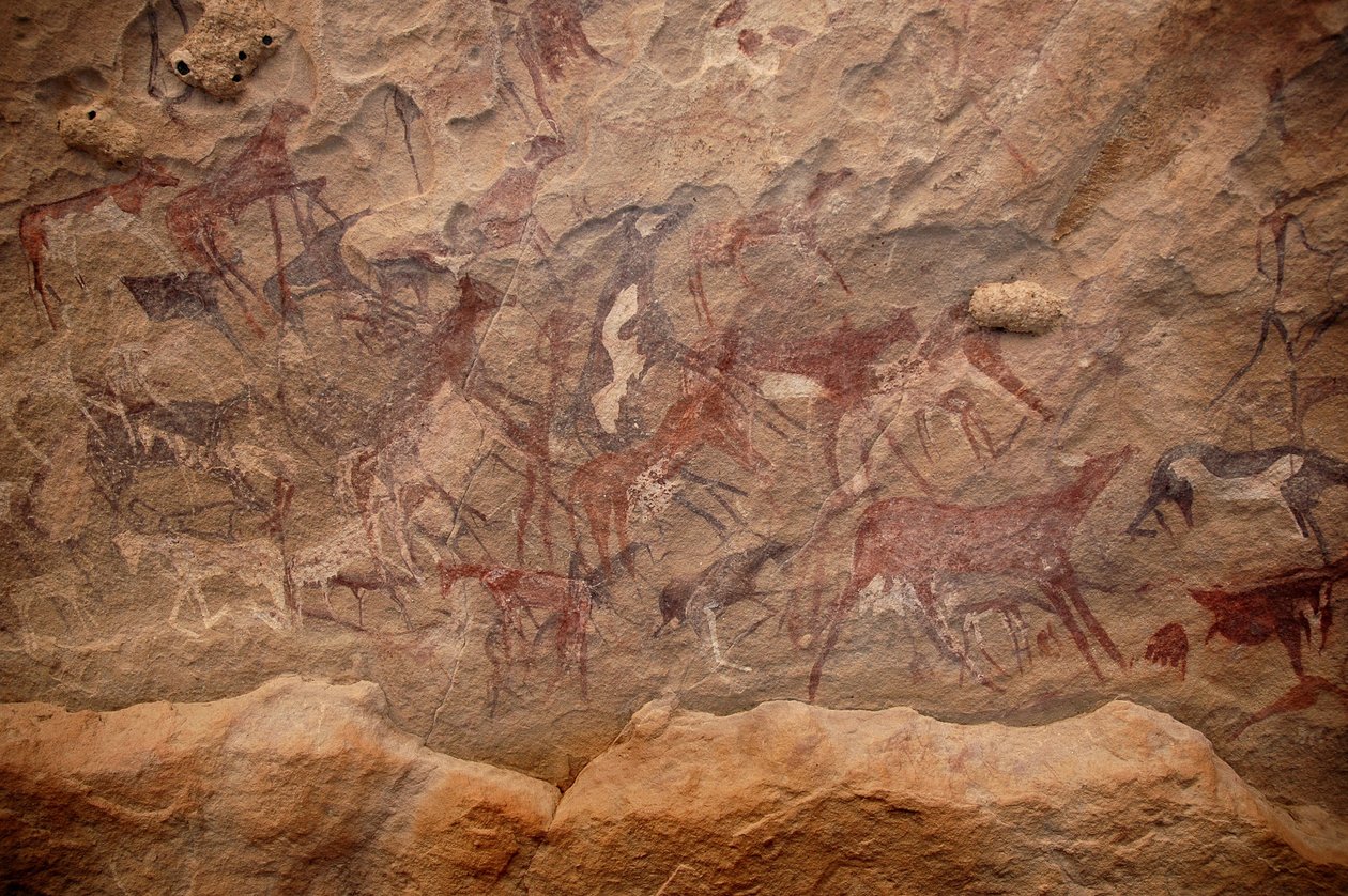 Stenkonst, förhistoria: Stenmålning av en grupp nötkreatur och polykroma karaktärer i ett utsmyckat skydd, i Uweinat-massivet, Sudan. Period från 8000 till 3000 år f.Kr. Fotografi av Unbekannt