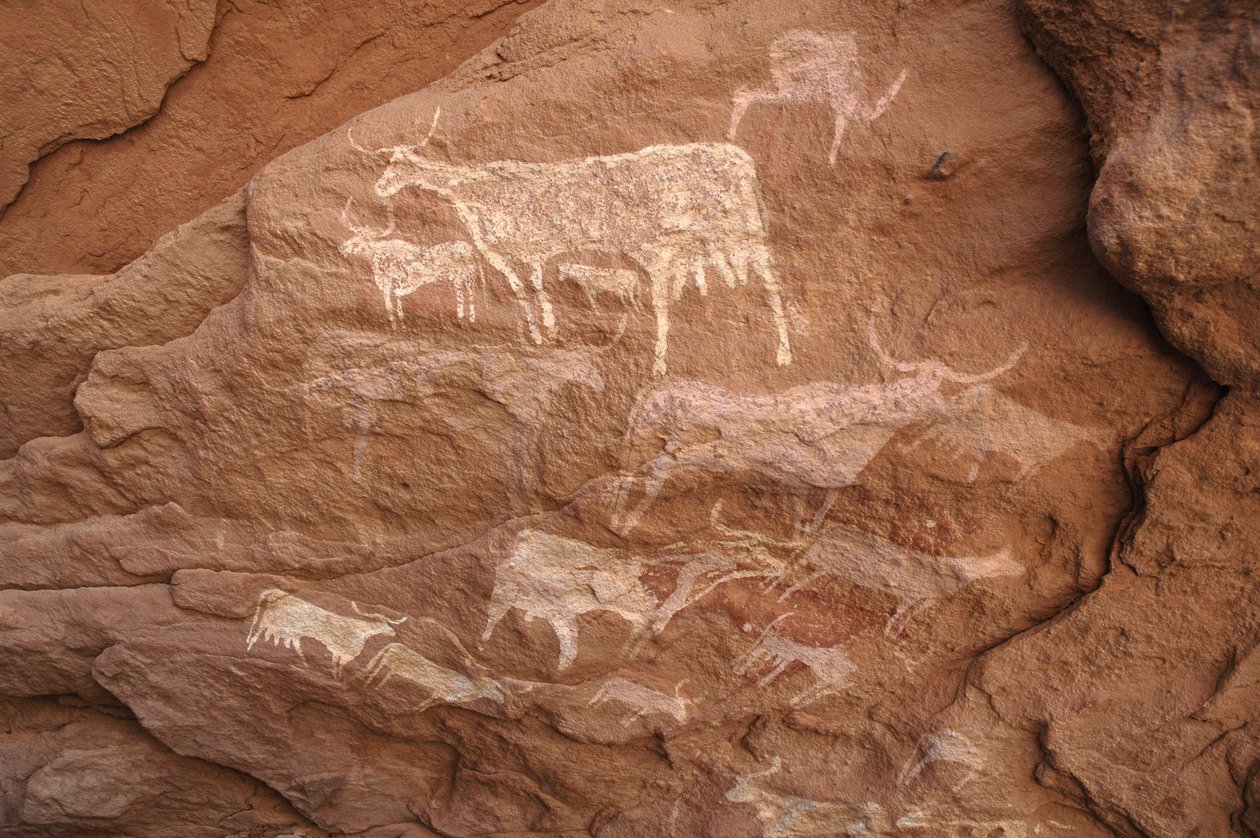 Hällkonst, förhistoria: Stenmålning av en grupp nötkreatur i ett utsmyckat skydd, i Uweinat-massivet, Sudan (Karkur-Talh eller Karkur Talh). Period från 8000 till 3000 år f.Kr. Fotografi av Unbekannt