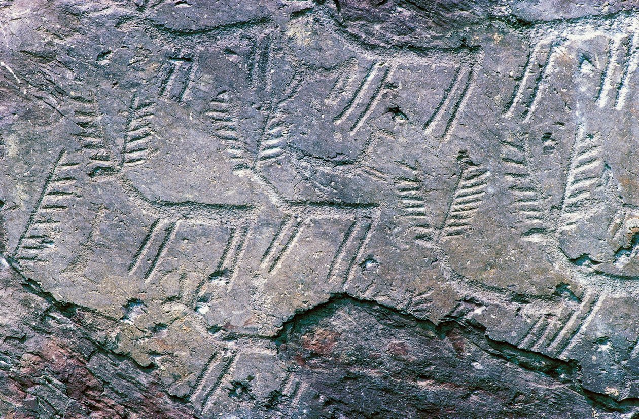 Hällristningar i Massi di Cemmo National Archaeological Park, Val Camonica (Unescos världsarvslista av William M. Timlin