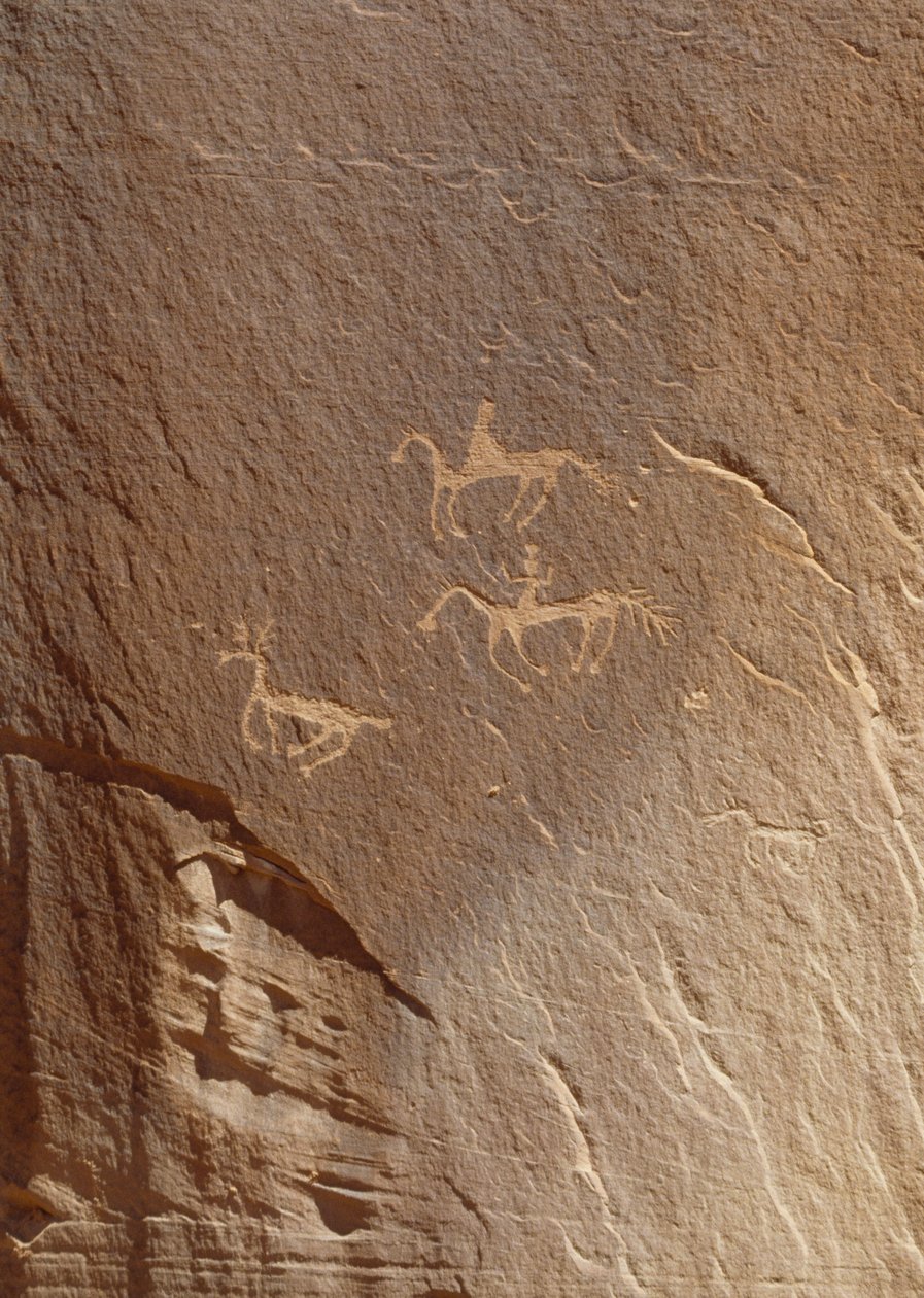 Bergstick, Ledge Ruin, Canyon de Chelly National Monument, Arizona, USA av William M. Timlin