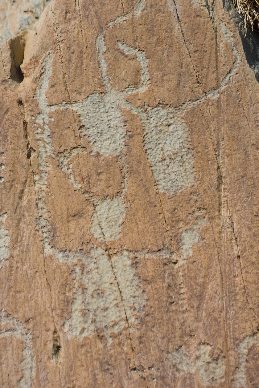 Stengravyrer av Vallee de Fontanalba/Corniformes emboites eller boskap/Mercantour National Park/Tende/Alpes-Maritimes/Frankrike av Unbekannt