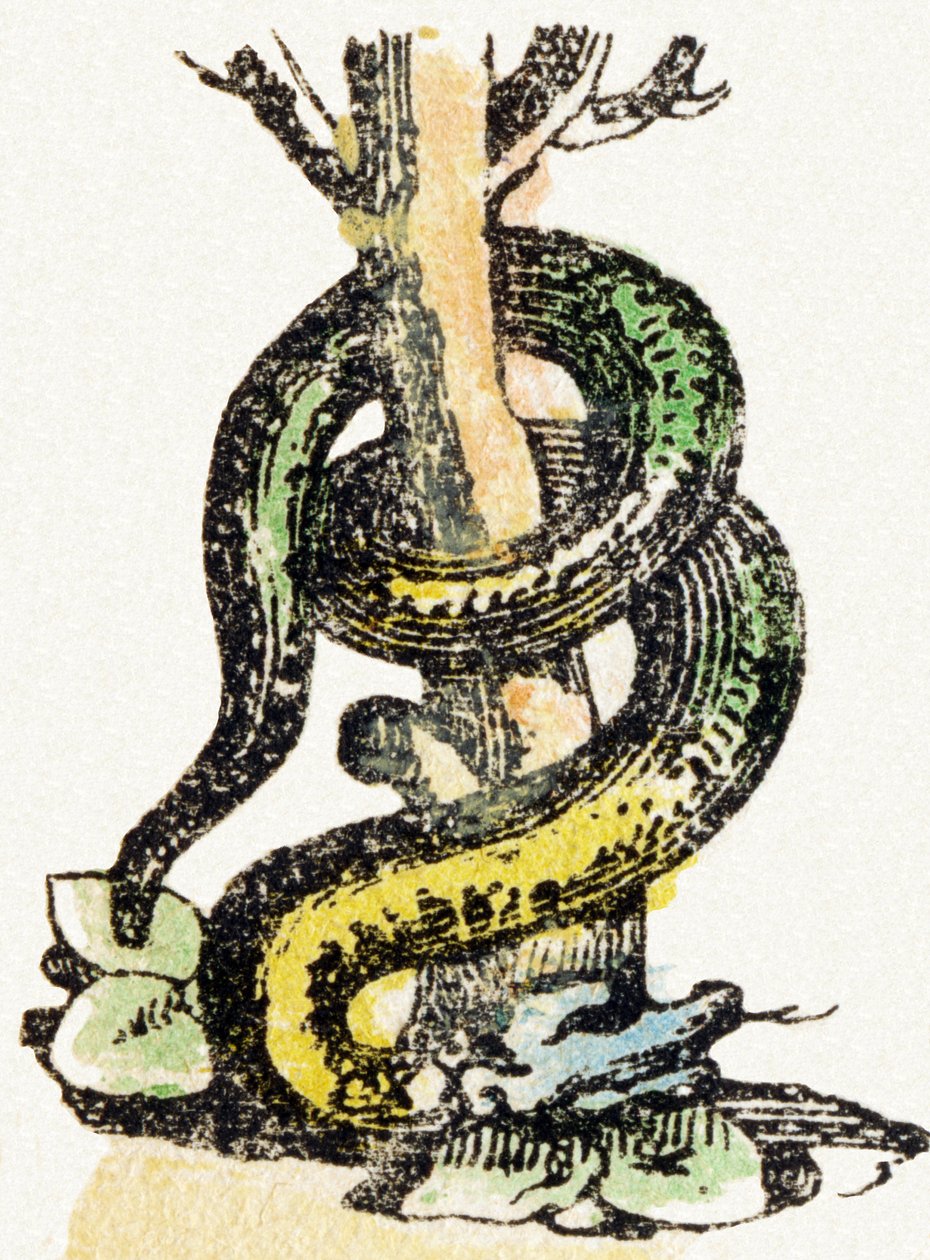 S - Serpent - Child Entertainment Alphabet c.1890 (litografi) av Unbekannt