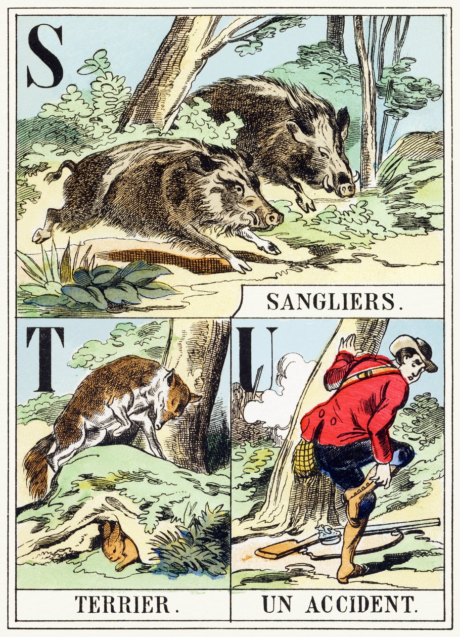 S T U : Sanglier, Terrier, Un accident - The Hunting Alphabet, c.1890 (gravyr) av Unbekannt