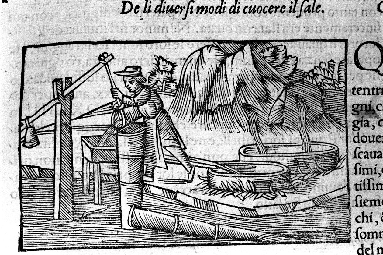 Saltproduktion: matlagning. Gravyr av Olaus Magnus (1490 - 1557), svensk religiös och geograf, "History of the Northern Nation", Venedig av Unbekannt