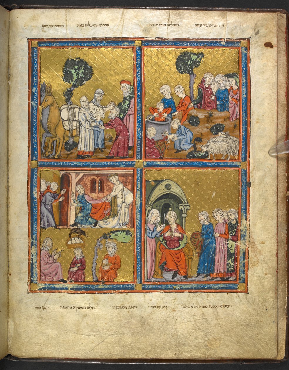 Scener ur Josefs liv från Haggadah för påsk (den "Gyllene Haggadah"), del 1, 1300-talets andra kvartal av Unbekannter Künstler