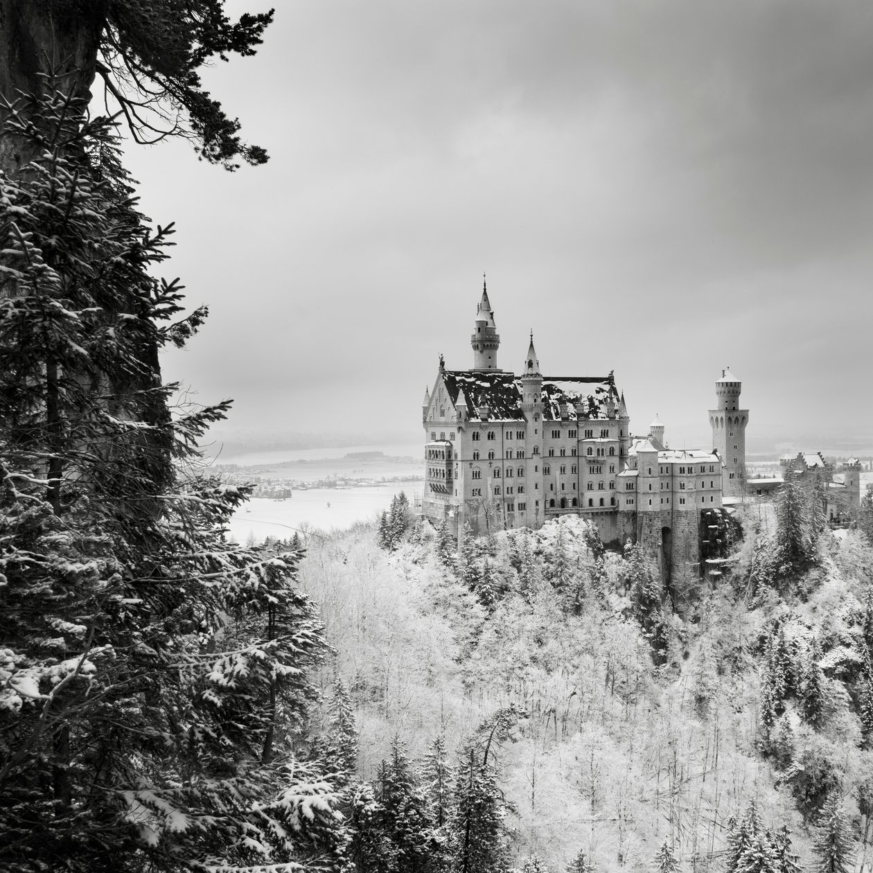 Neuschwanstein slott, Füssen, Tyskland, 2013 (s/v foto) av Leopold Blonder