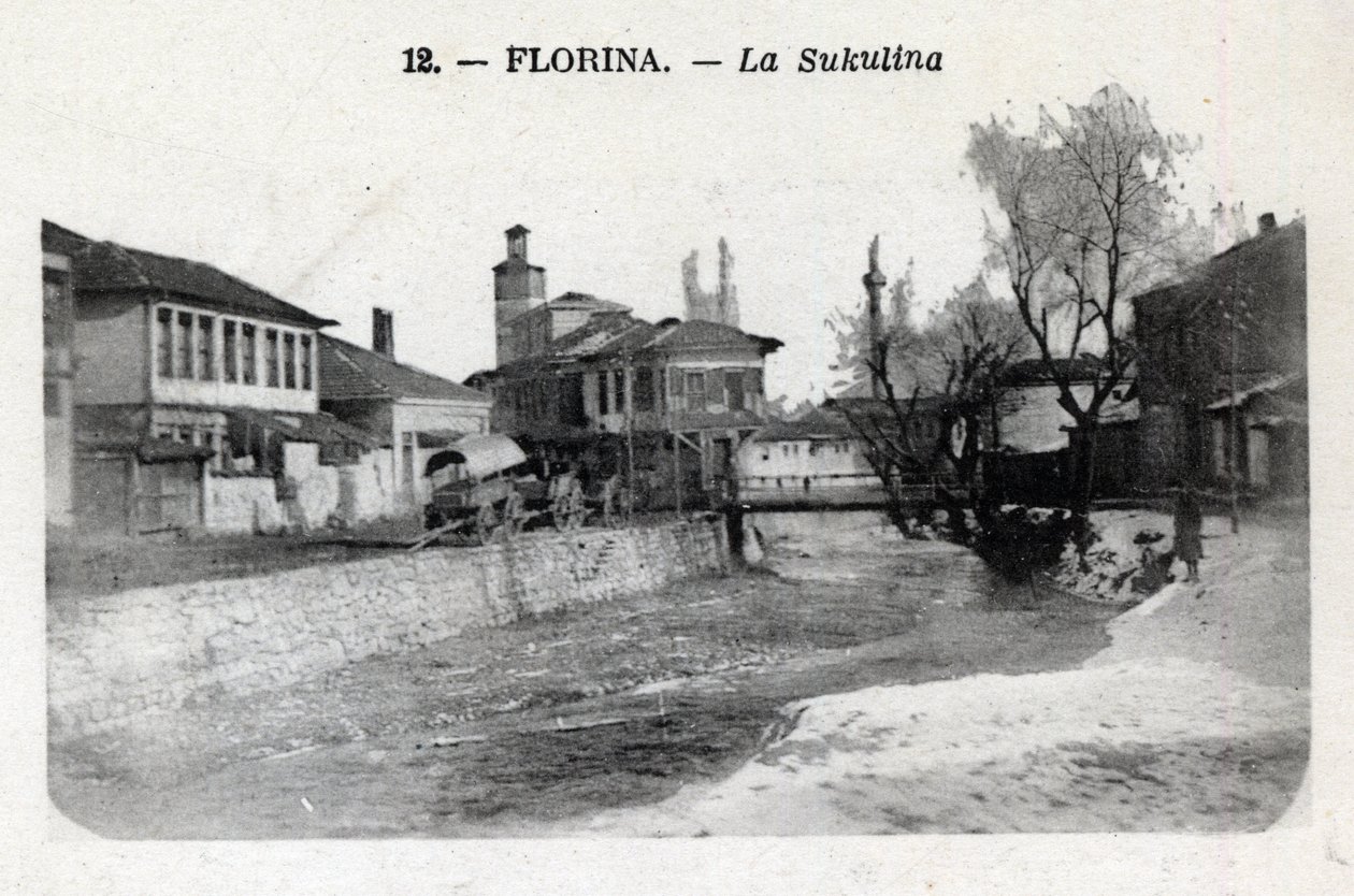 Serbien, Florina (nuvarande Grekland): utsikt över Sukulina - Vykort 1914-1918 av William M. Timlin