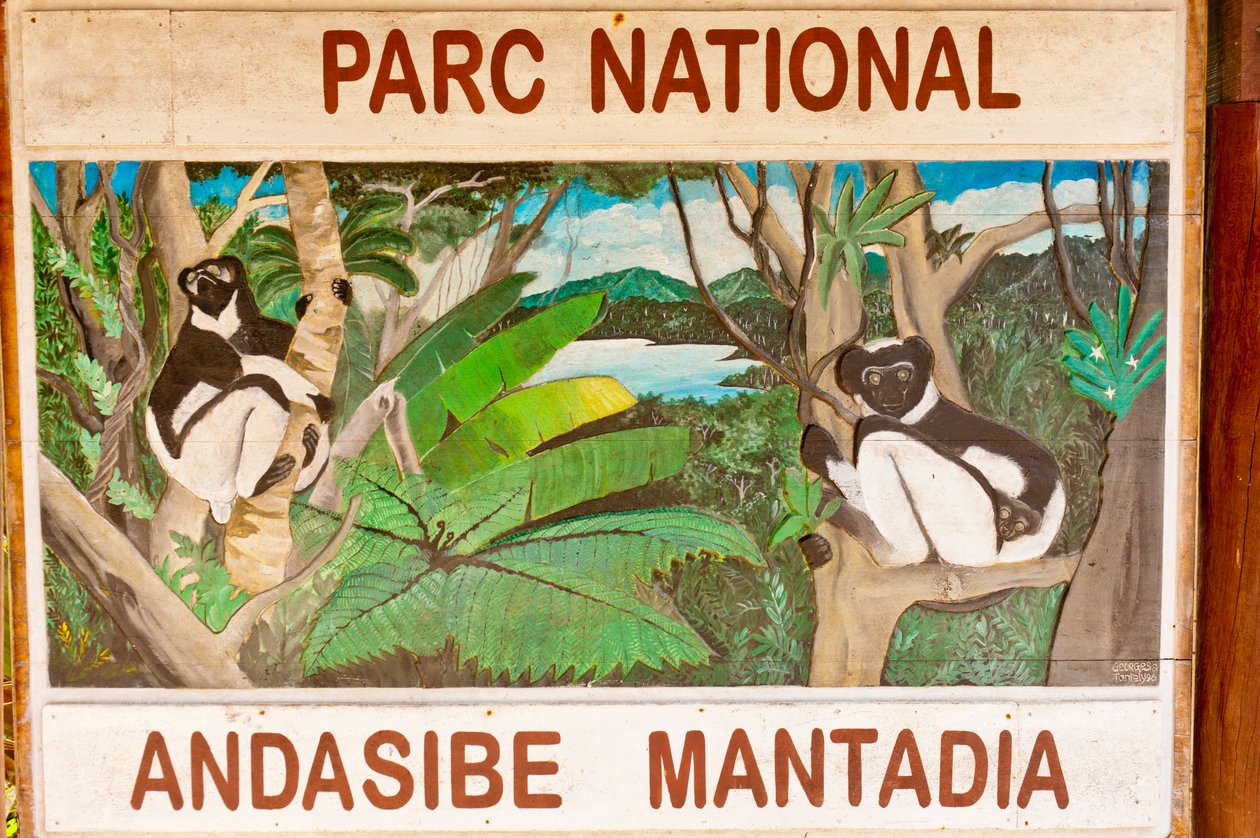 Skylt som föreställer lemurer i djungeln; Andasibe-Mantadia nationalpark; Madagaskar; Afrika av Unbekannt