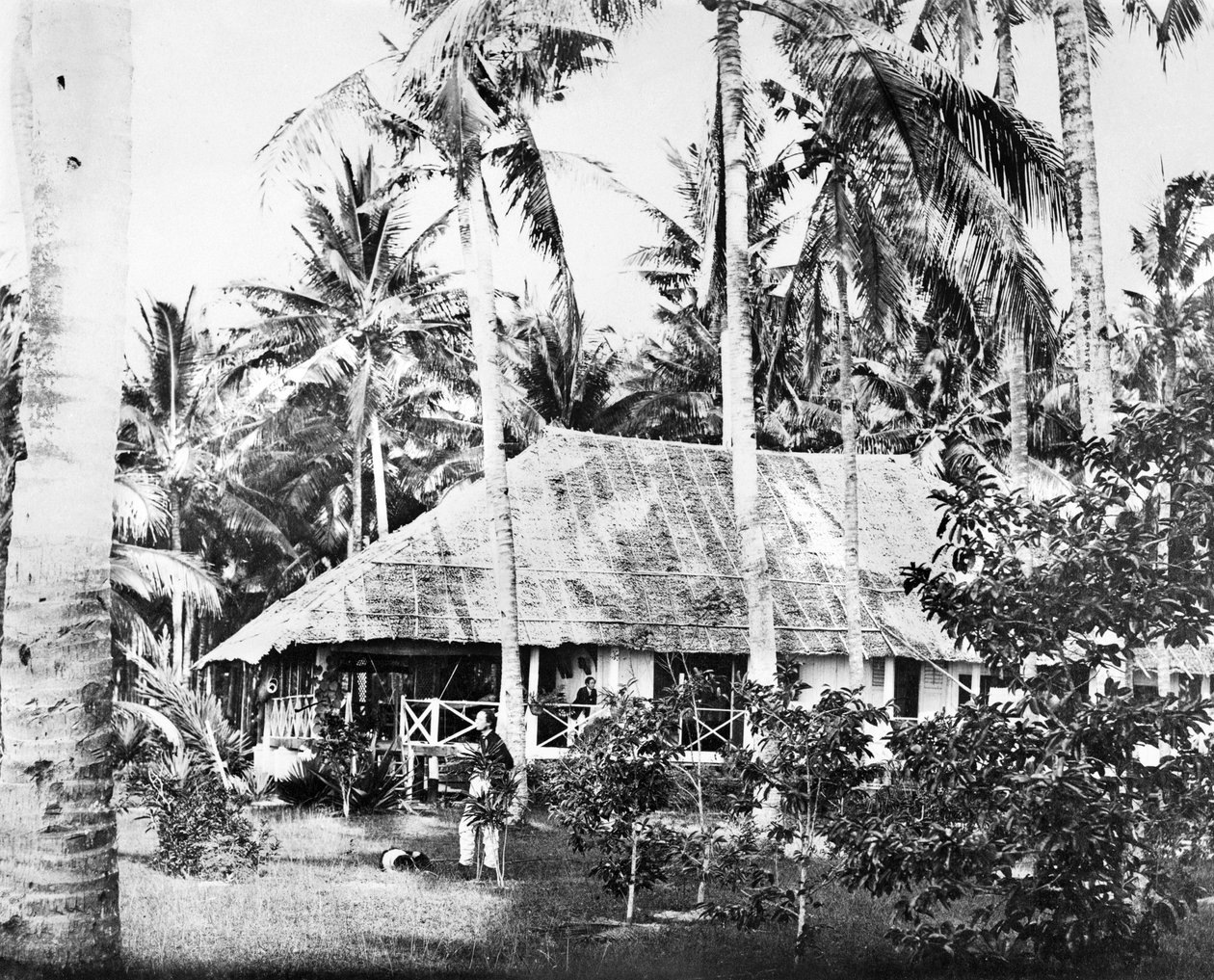 Singapore: En privat bungalow omgiven av palmer. Singapore, c1875 av Unbekannt