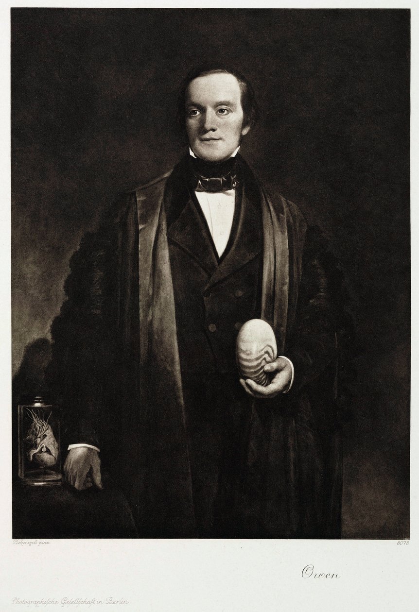 Sir Richard Owen, engelsk naturforskare och paleontolog, ca 1845 av Unbekannt