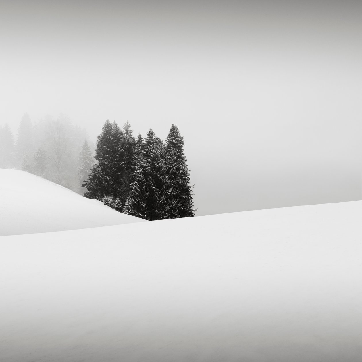 Snowytales Oasis, Bayern, Tyskland, 2013 (s/v foto) av Leopold Blonder