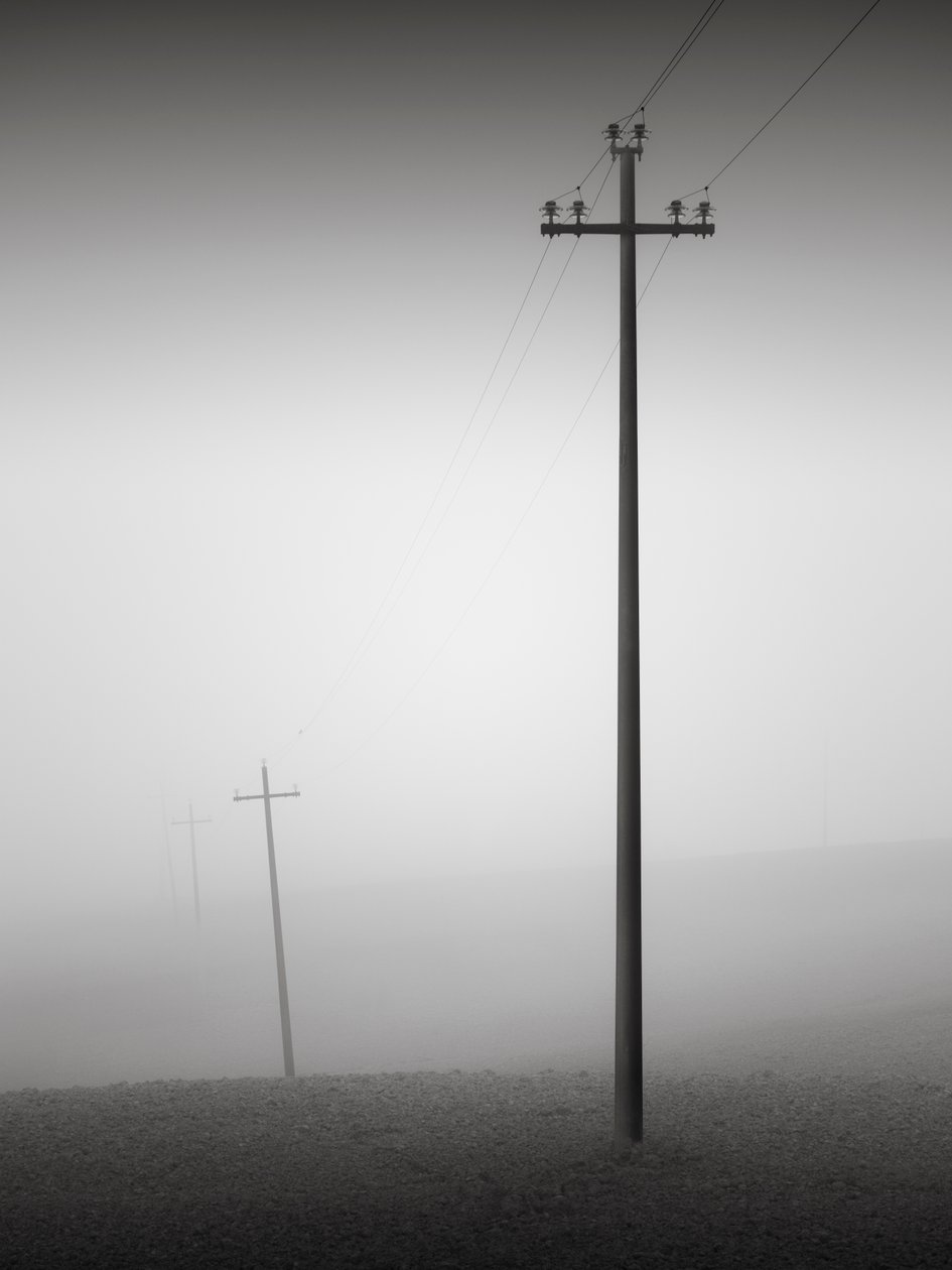 Solidarity, Toscana, Italien, 2015 (s/v foto) av Leopold Blonder