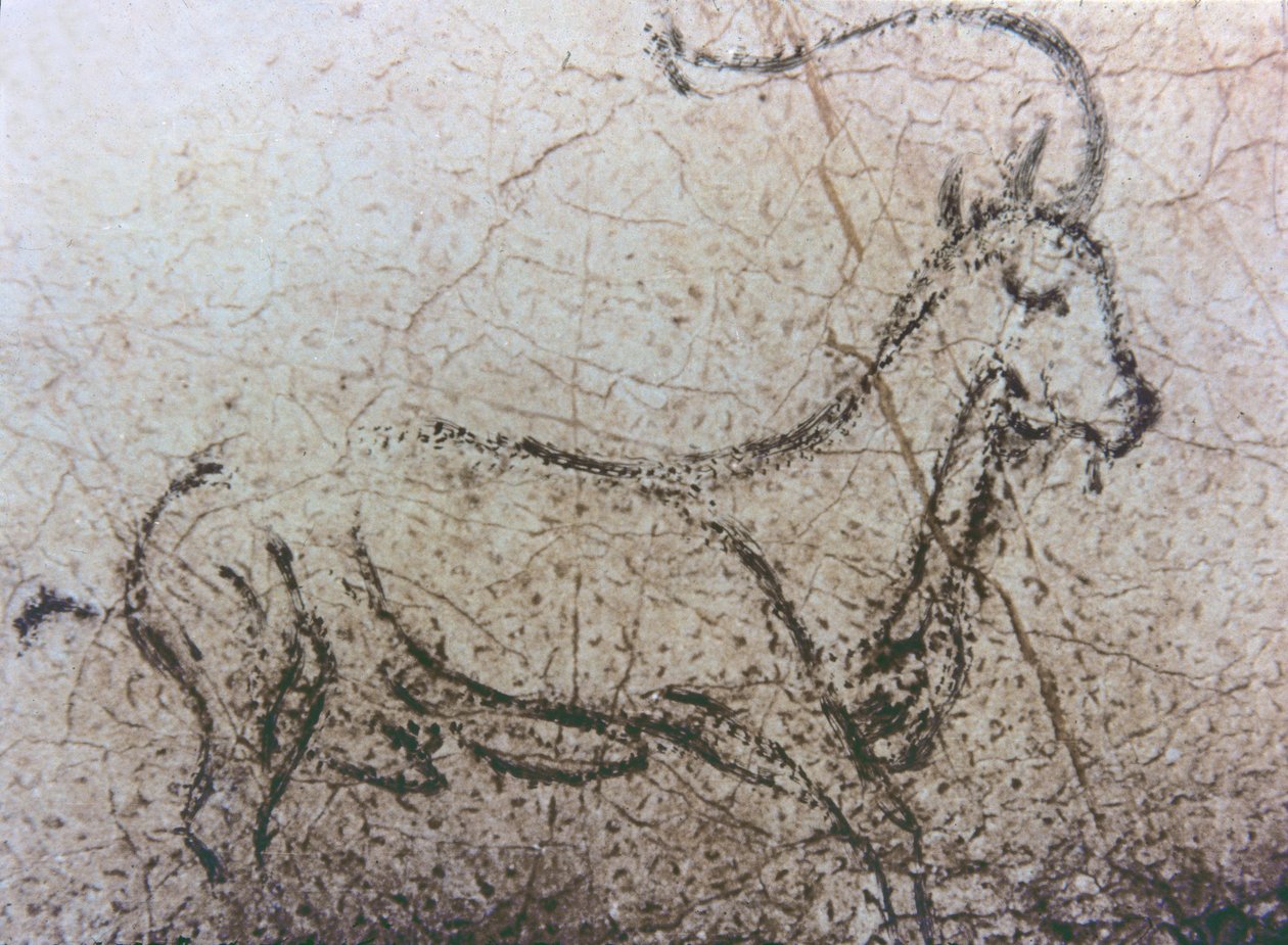 Spansk barnskötare get, paleolitisk period, c.40000-12000 f.Kr. (hällmålning) av Unbekannter Künstler