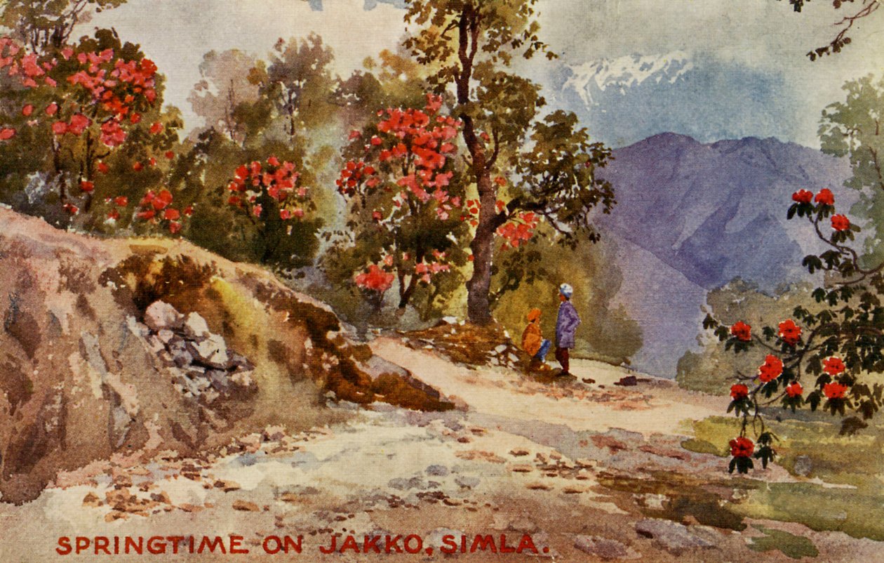 Vår på Jahko, Simla, Indien av Unbekannter Künstler