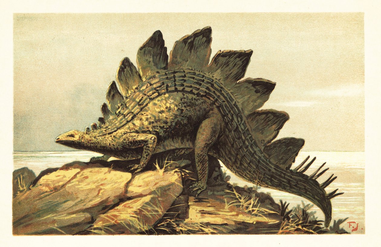 Stegosaurus, utdöda släkte av växtätande dinosaurier. 1908 (litografi) av Unbekannter Künstler
