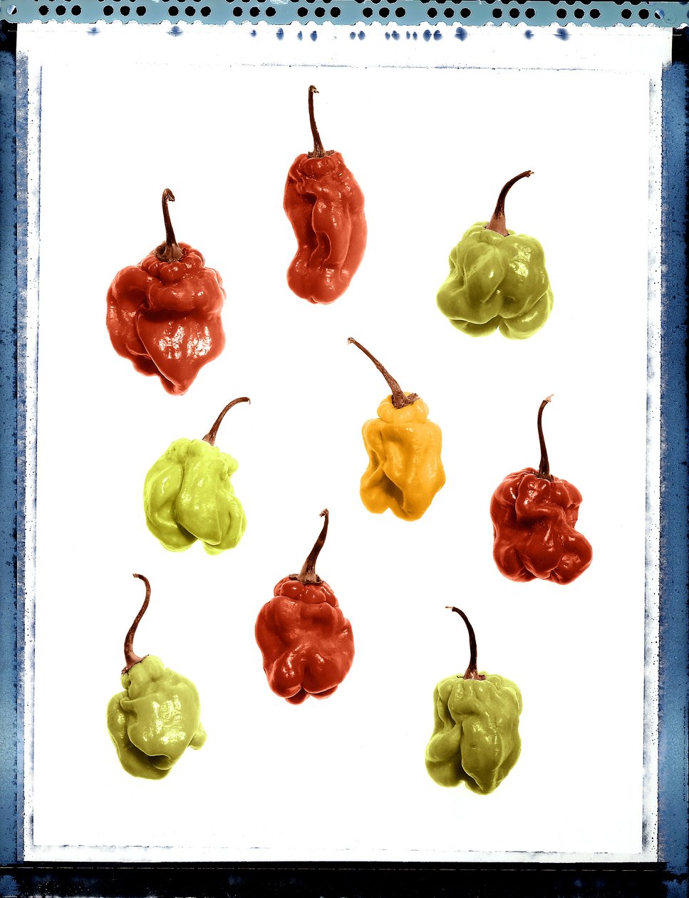 Stilleben av gul, röd och grön paprika av Unbekannt