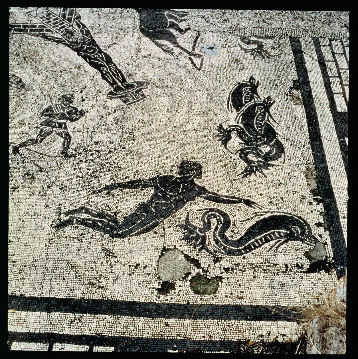 Simma med delfinerna, från Frigidarium of the Baths i Ostia, 2:a århundradet e.Kr. (mosaik) av Unknown