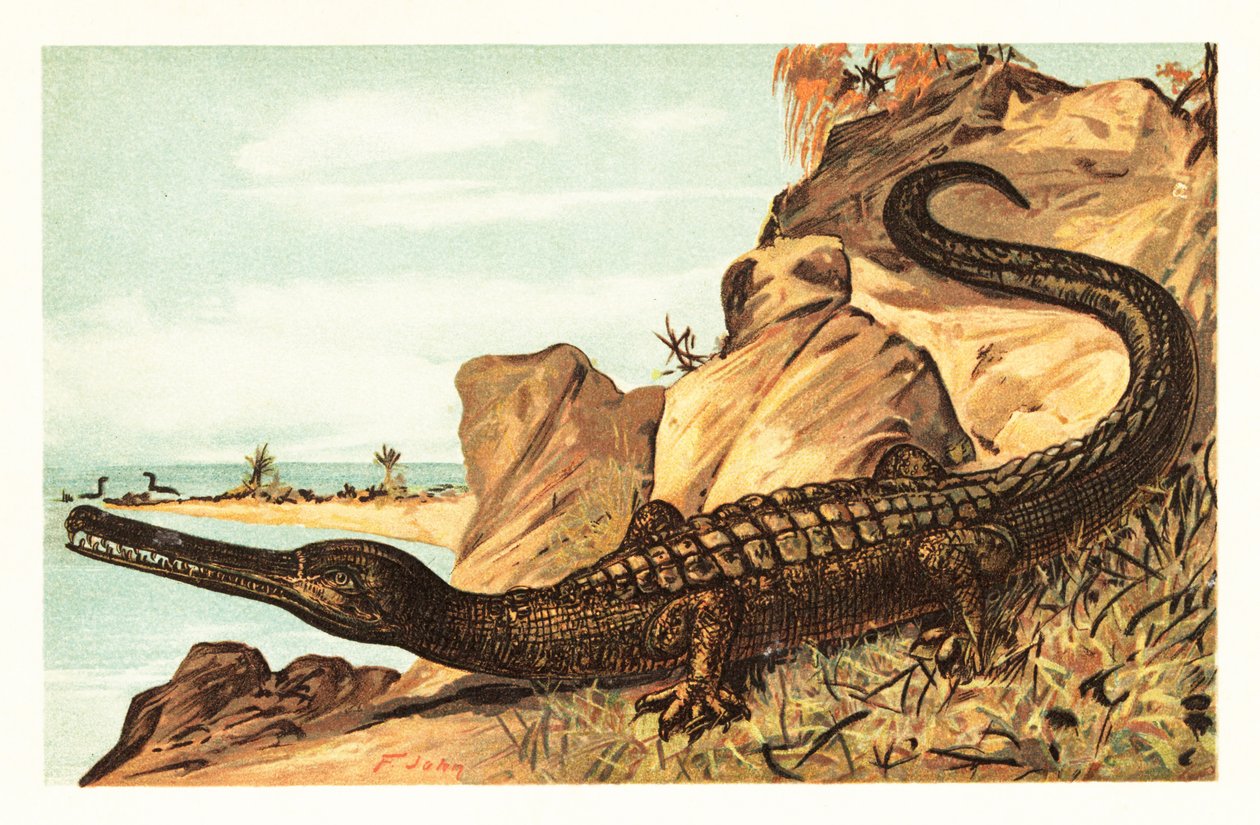 Teleosaurus cadomensis, utdöd art av marin krokodil.1908 (litografi) av Unbekannter Künstler