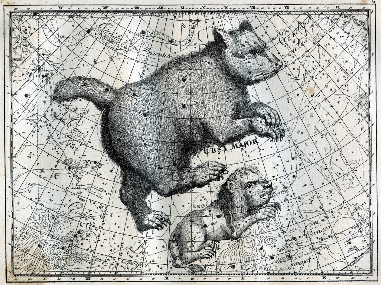 De boreala konstellationerna: den stora björnen och det lilla lejonet. Gravyr från Camille Flammarions "The Stars and Other Curiosities of the Sky" av Unbekannt