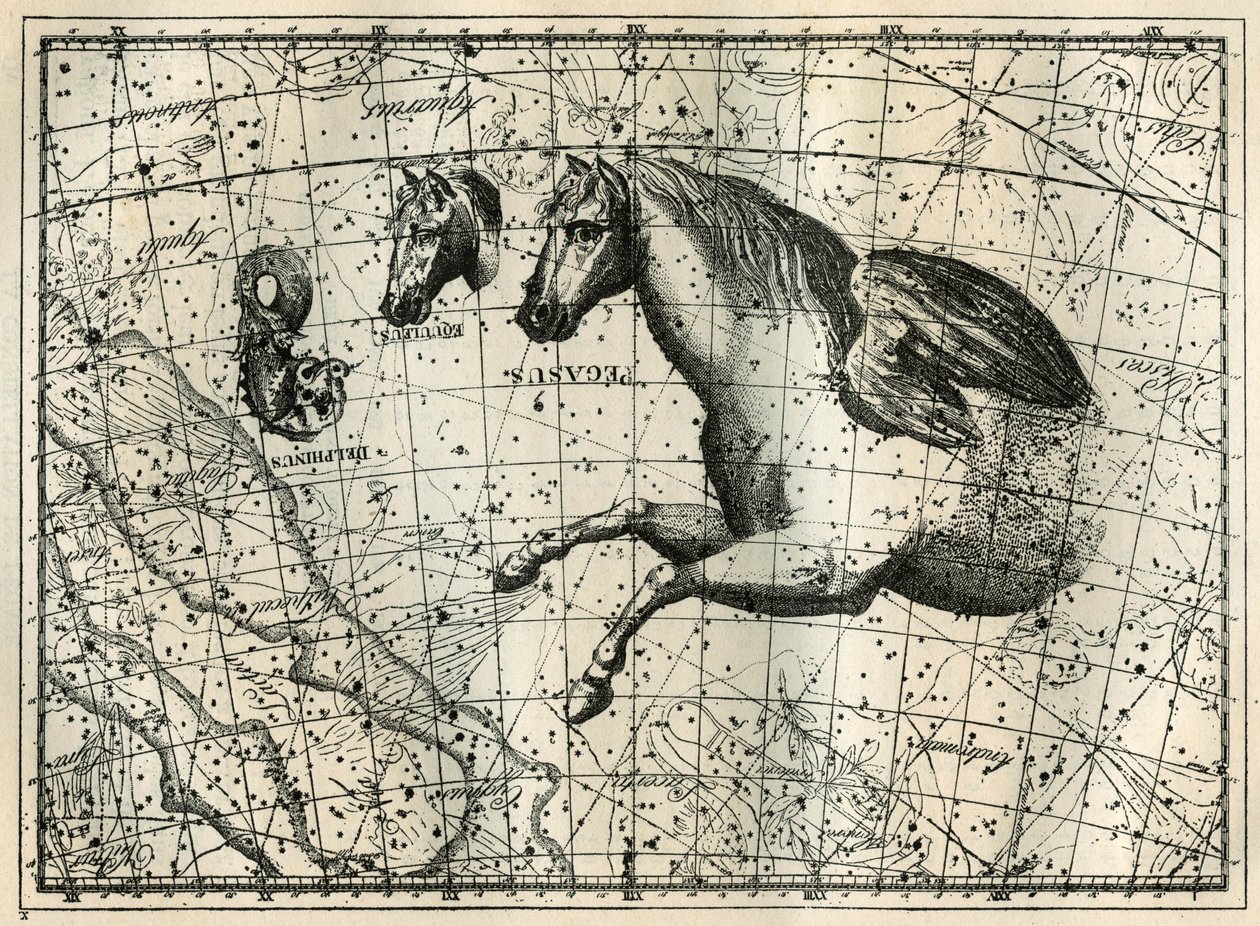 Stjärnbilden Pegase, ritar som anterieure halvan av en häst med ett par vingar, den lilla hästen, ett hästhuvud och delfinen. Gravyr från "Les étoiles et les autres curiosites du ciel" av Camille Flammarion av Unbekannt