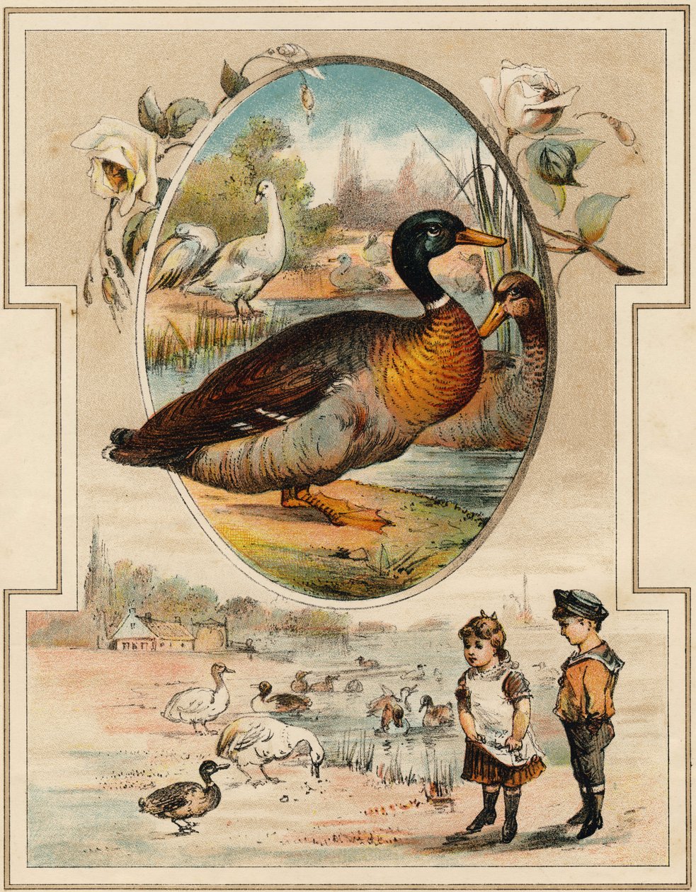 Ankan. Gravyr i "Mon premier Grand Alphabet". Bernardin-Bechet Edition, Paris, ca 1890. Illustrationer av A. des Lilleuls. Ingen sida, 46 sidor. Mått: 31x22 cm. av Unbekannt