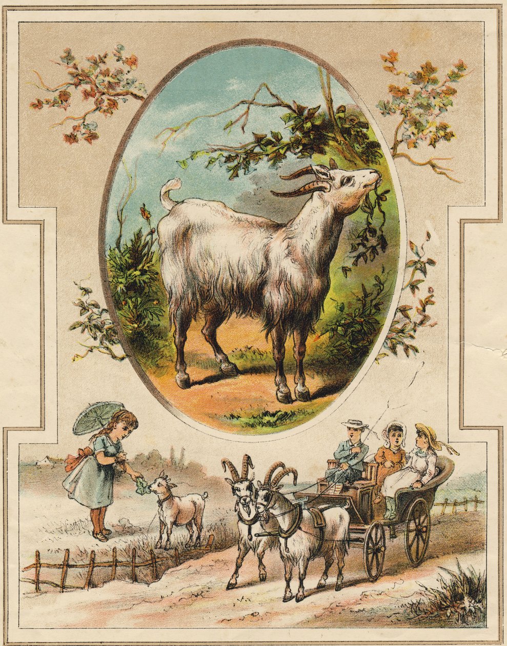 Geten. Gravyr i "Mon premier Grand Alphabet". Bernardin-Bechet Edition, Paris, ca 1890. Illustrationer av A. des Lilleuls. Ingen sida, 46 sidor. Mått: 31x22 cm. av Unbekannt