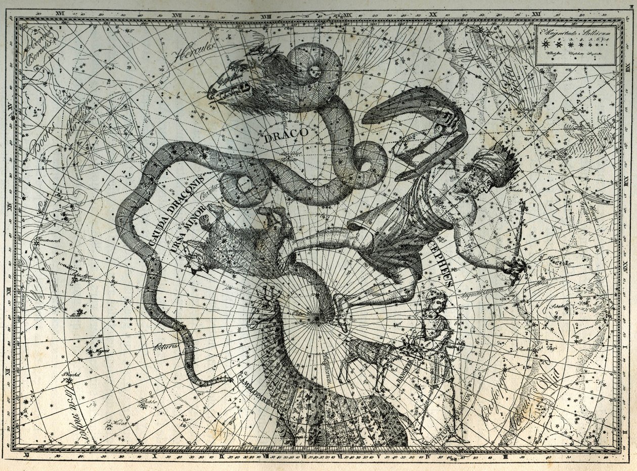 Nordpolens närliggande stjärnbilder: Little Bear, Dragon, Cephee, Giraffe, Rene och Messier. Gravyr från Camille Flammarions "The Stars and Other Curiosities of the Sky" av Unbekannt
