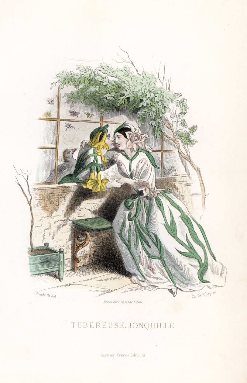 Knölvialen och en påsklilja uppvaktas på en trädgårdsbänk intill en mur - Eau forte av Charles Geoffroy (1819-1882), efter en illustration av Jean Ignace Isidore Gerard dit J.J.Granville (1803-1847), för Les fleurs animees av Unbekannter Künstler
