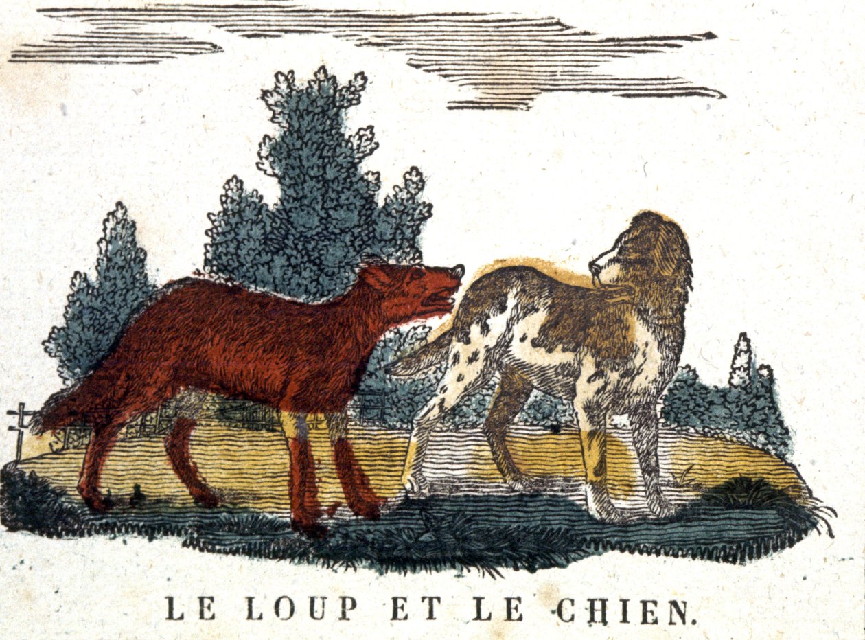Vargen och hunden, La Fontaines saga, tidigt 1800-tal (gravyr) av Unbekannter Künstler
