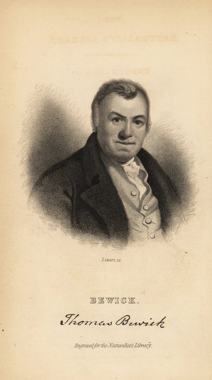 Thomas Bewick, engelsk gravör och naturhistorisk författare av Unbekannt