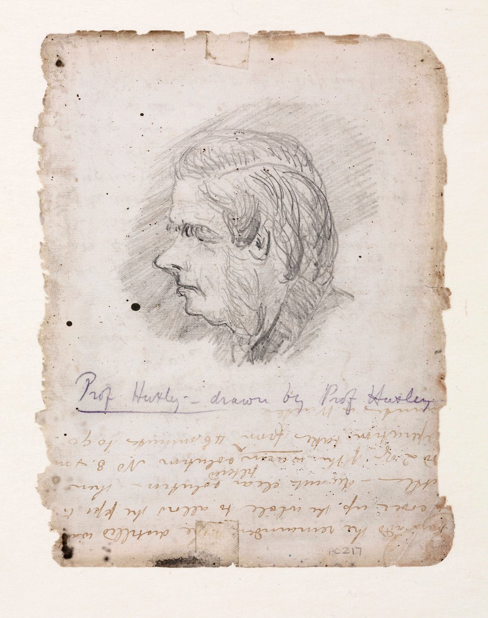 Thomas Henry Huxley, engelsk biolog, mitten av slutet av 1800-talet av Unbekannt