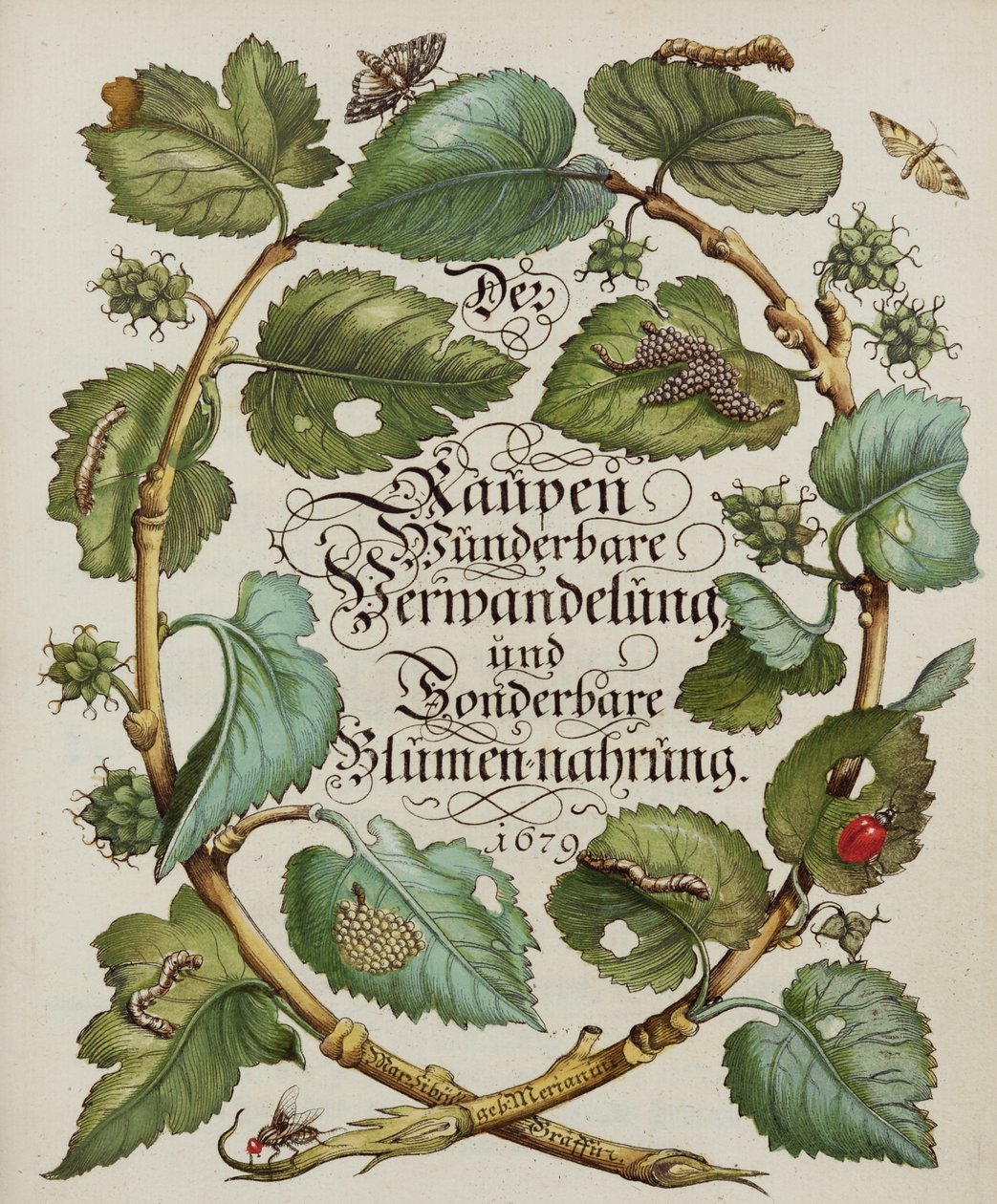 Titelsida från naturhistorisk bok av Alec Hunter