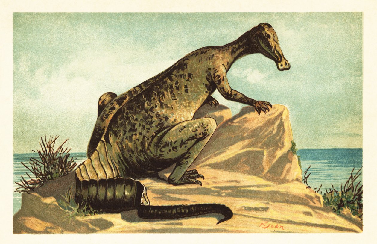 Trachodon mirabilis, utdöd hadrosaurad dinosaurie.1908 (litografi) av Unbekannter Künstler