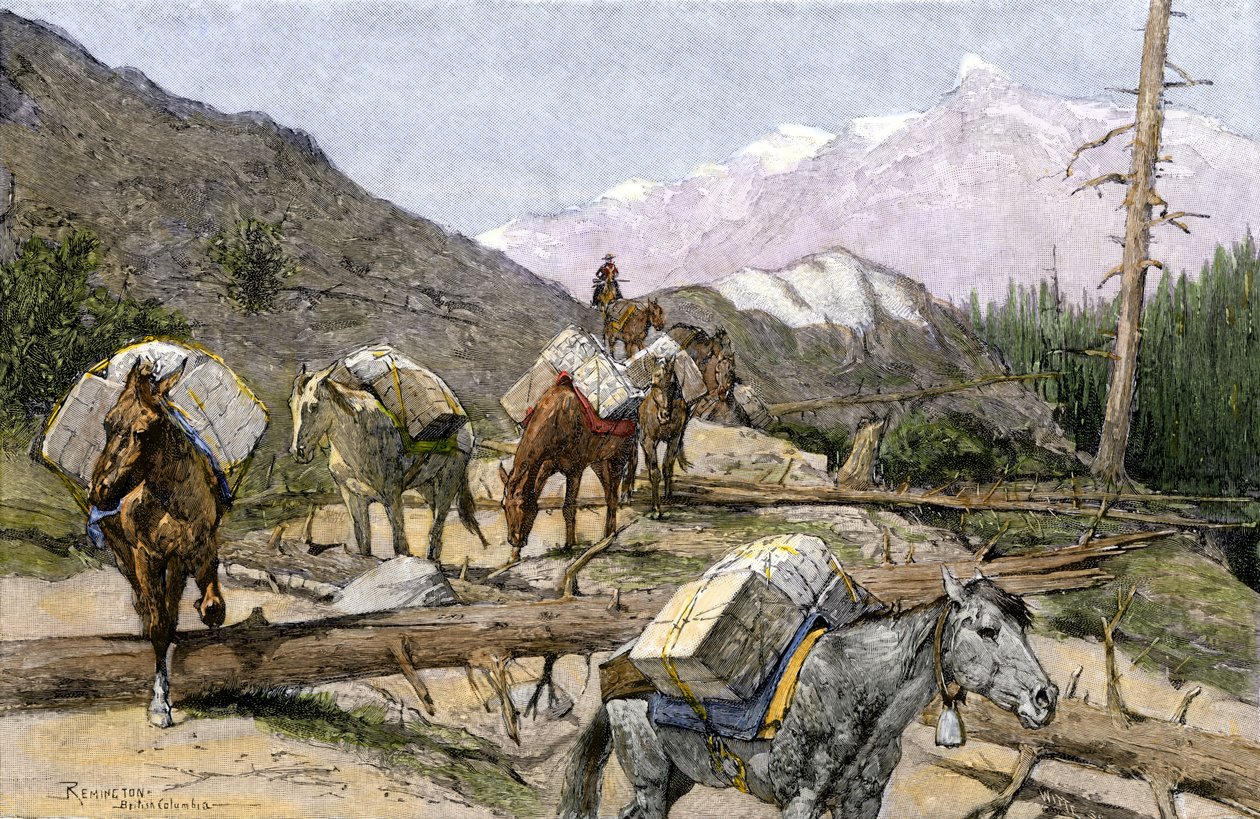 Transport av förnödenheter och pälsar på hästryggen i Klippiga bergen, USA. Från en illustration av Frederic Remington. Packvagn som transporterar förnödenheter eller pälsar över Klippiga bergen av Unbekannter Künstler