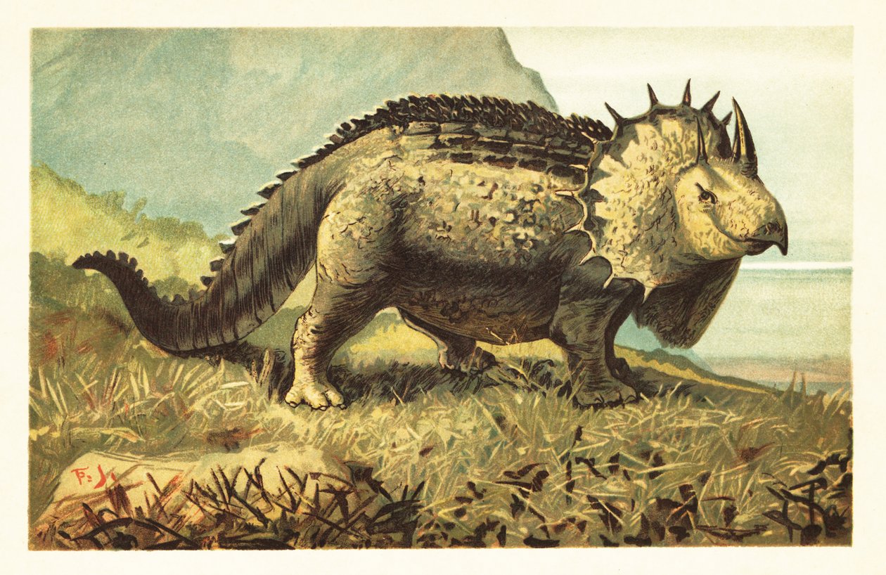 Triceratops prorsus, utdöd växtätande dinosaurie.1908 (litografi) av Unbekannter Künstler