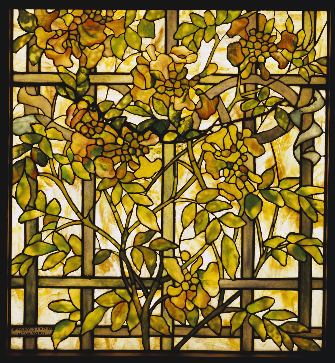Trumpet Vine glasfönster, Tiffany Studios av Unbekannt