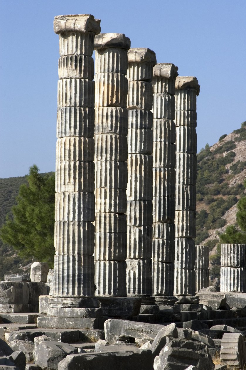 Turkiet Pyrenens sydålderska kust ovanför slätten av floden Meander tempel av gudinnan Athena av Unbekannt