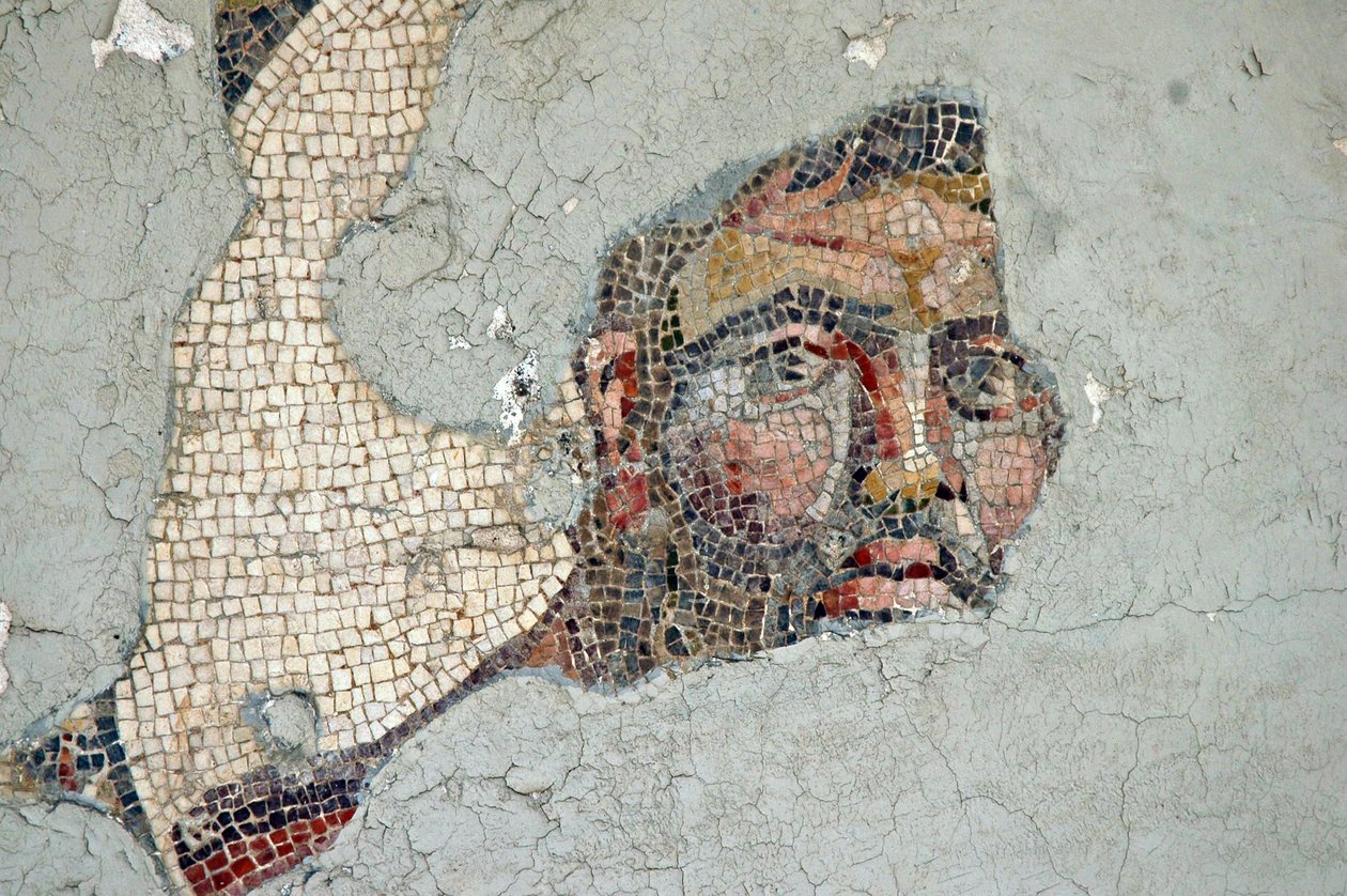 Two Athletes Mosaic, från Samandagi, Turkiet av Unbekannt