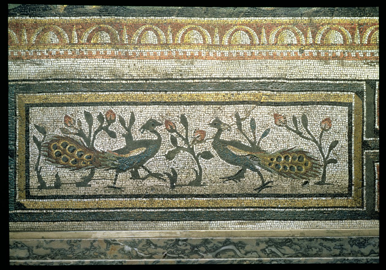 Två påfåglar, dekorativ kantdetalj från en mosaikbeläggning som skildrar årstiderna och jaktscenerna, från den konstantinska villan i Daphne, Roman, c.325-330 AD (marmor, kalksten och glasmosaik) (detalj av 105665) av Unbekannt